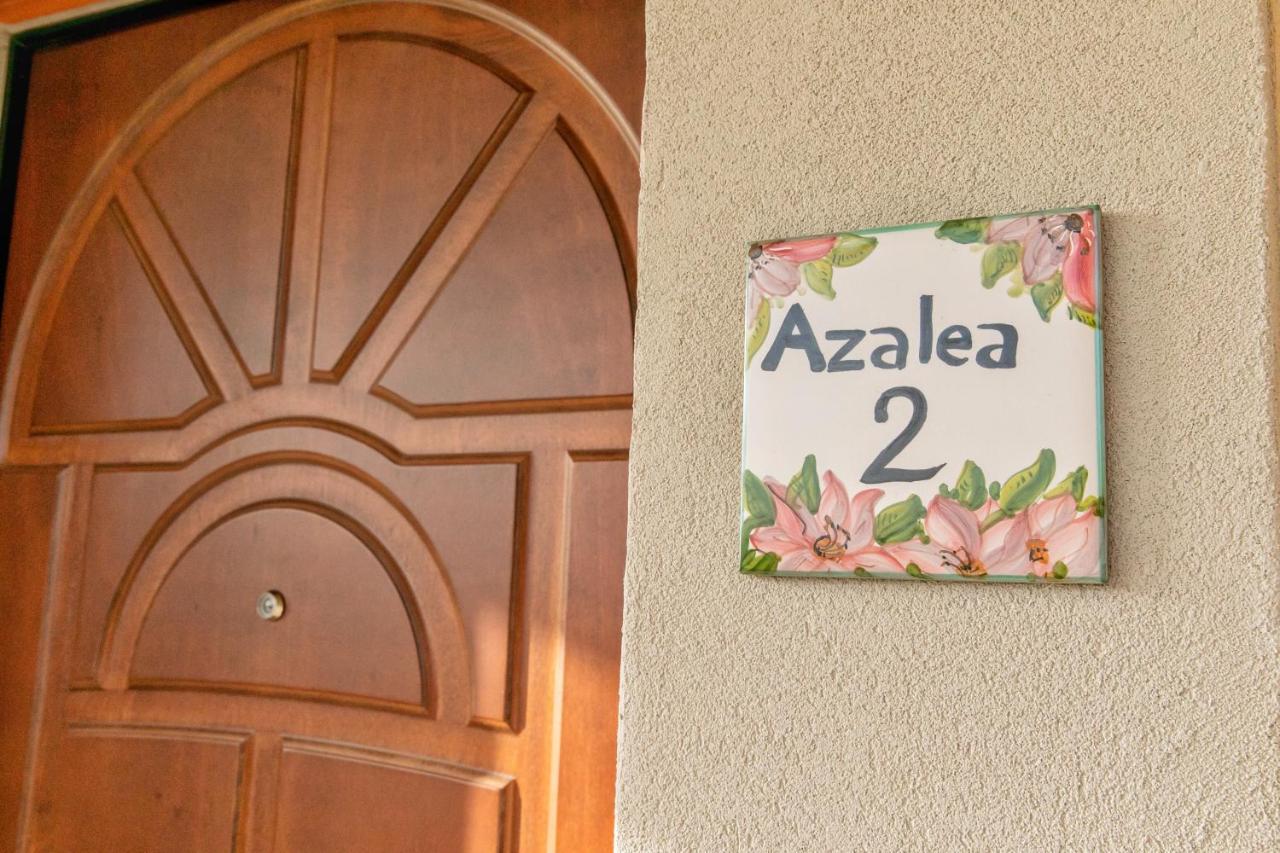 Il Mandorlo Fiorito Bed And Breakfast Ogliastro Cilento Dış mekan fotoğraf